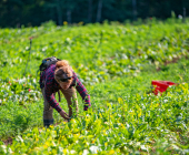 Stage - Les Jardins Naturlutte