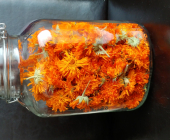 Calendule