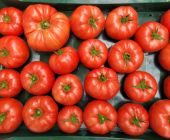 Tomates beef